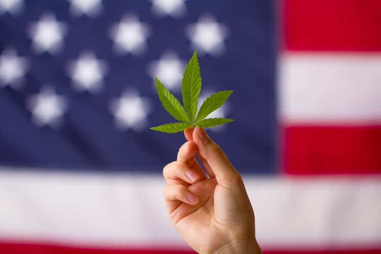 Only one in ten Americans oppose marijuana legalization – survey