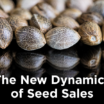 The DEA Acknowledged That Cannabis Seeds Are Legal to Sell. So, What Does That Mean for the Industry?