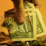 With Demand Outpaced by Supply, Oregon Weed Retailers Lower Prices