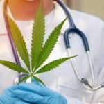 Idaho Plans for Medical Cannabis Legalization on the Ballot in 2024