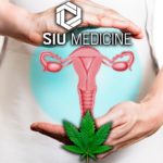 Can Cannabis Help Cure Ovarian Cancer? New Research At Southern Illinois University Shows Promise