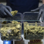 Weed makes inroads across Europe