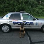 With pot now legal, Monroe eliminates a police dog from budget