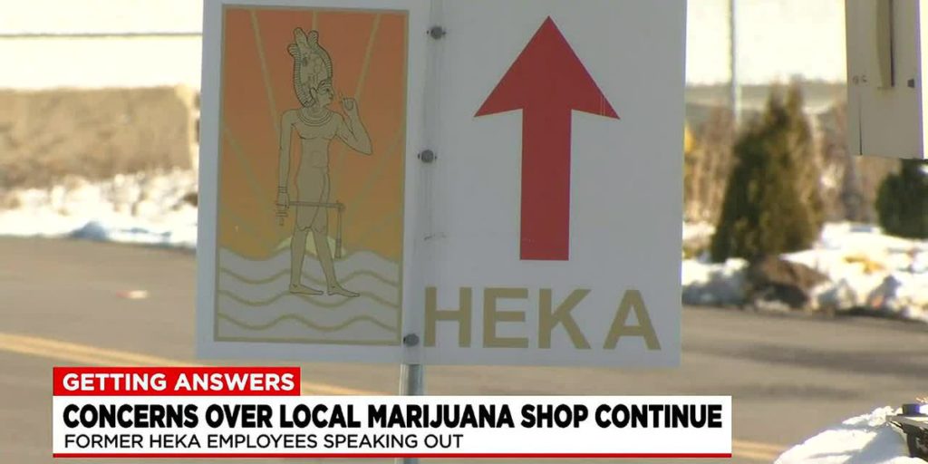 Former marijuana company employees raise concerns about HEKA growing practices