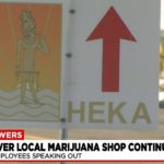 Former marijuana company employees raise concerns about HEKA growing practices