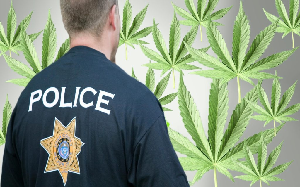 Following raids on marijuana shops, some question emergency enforcement rules