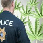 Following raids on marijuana shops, some question emergency enforcement rules