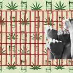 Tax Legal Weed and Give the Money to Drug War Victims