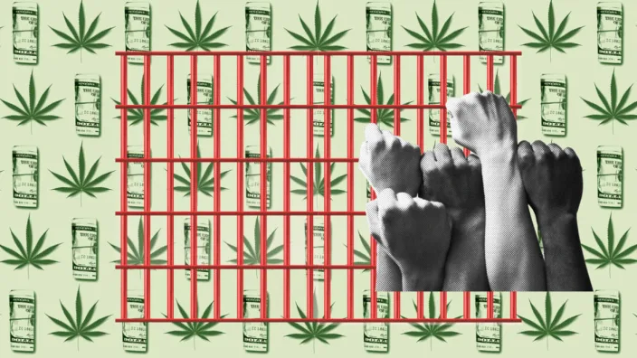 Tax Legal Weed and Give the Money to Drug War Victims