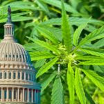 Marijuana banking left out of national defense bill; cannabis multi-state operators fall