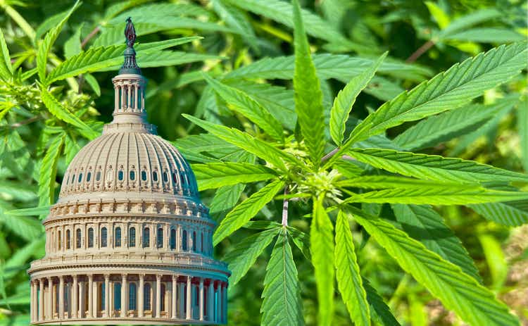 Marijuana banking left out of national defense bill; cannabis multi-state operators fall