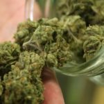 Beshear's executive order making medical marijuana legal in Kentucky goes into effect Sunday