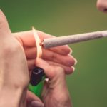 1 in 5 Young Adults Say They Use Marijuana: Survey