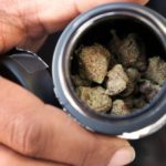 Marylanders consume more marijuana than national average: study