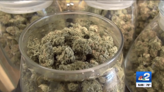 Medical marijuana facility in process of filing injunction against Florida Department of Health