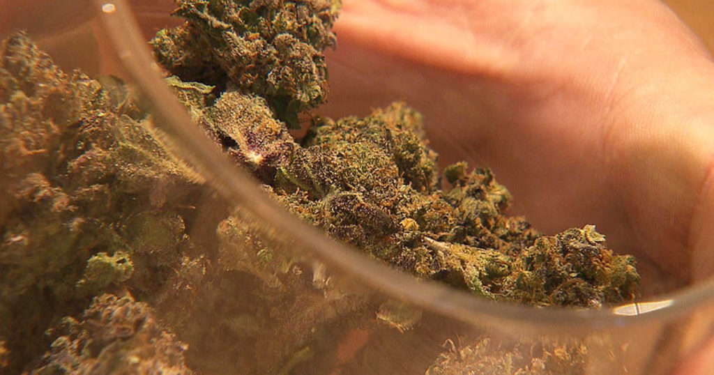 Marijuana Enforcement Division issues health advisories for contamination of retail, medical pot