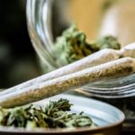 Curaleaf Stamford To Begin Recreational Cannabis Sales Jan. 28