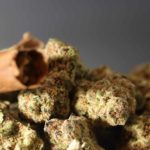 New Jersey Q3 Adult-Use Cannabis Sales Top $100 Million