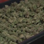 City, state leaders tout expunging low-level marijuana offenses
