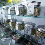 Michigan's Cannabis Regulatory Agency Reports Record-High Sales—And Robberies