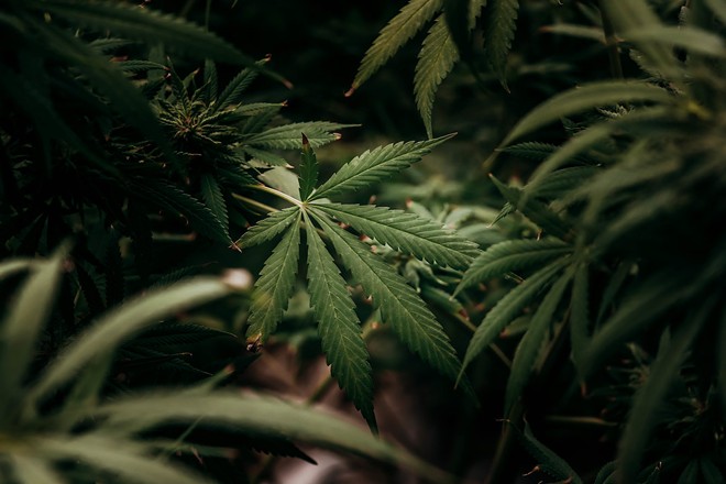 Missouri Courts Expunge Over 7,500 Marijuana Records