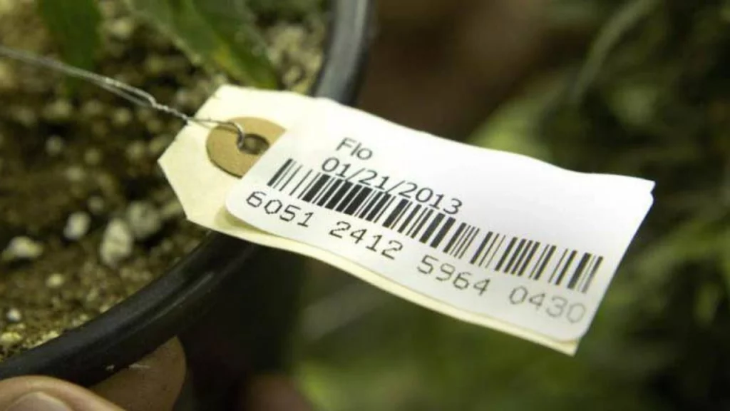 Forian exits marijuana industry with $30 million sale of BioTrack to Alleaves