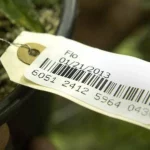 Forian exits marijuana industry with $30 million sale of BioTrack to Alleaves