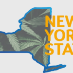 New York Regulators Recommend Cannabis Program Expansion to Lawmakers