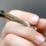 Study: Young cannabis users drinking less alcohol