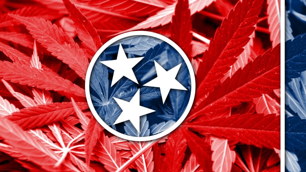 Does medical cannabis have a future in Tennessee? One lawmaker thinks it’s possible