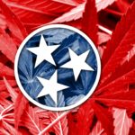 Does medical cannabis have a future in Tennessee? One lawmaker thinks it’s possible