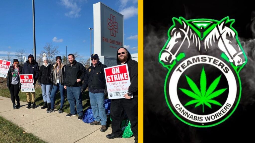 Meet the Teamsters unionizing the cannabis industry