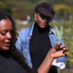 Why New York’s cannabis equity program is stranding women entrepreneurs