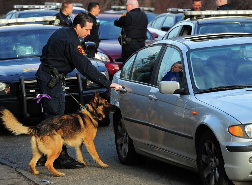 CT police shift how they use K9s now that cannabis is legal