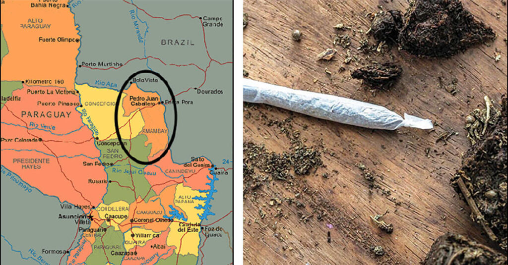 Paraguayan Police Raze Cannabis Crops Considered the World's Worst Weed