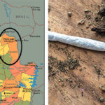 Paraguayan Police Raze Cannabis Crops Considered the World's Worst Weed