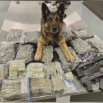 New Braunfels police arrest three, seize pounds of marijuana and over a quarter million in cash