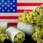 U.S. cannabis sales to hit $71B in 2030 even without federal reforms – report