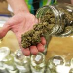 New study shows marijuana-related ER visits on rise for older adults