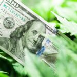 Connecticut Bill Would Allow State Tax Deductions for Cannabis Businesses