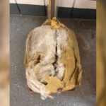 Florida beachgoer stumbles across 30-pound marijuana bale