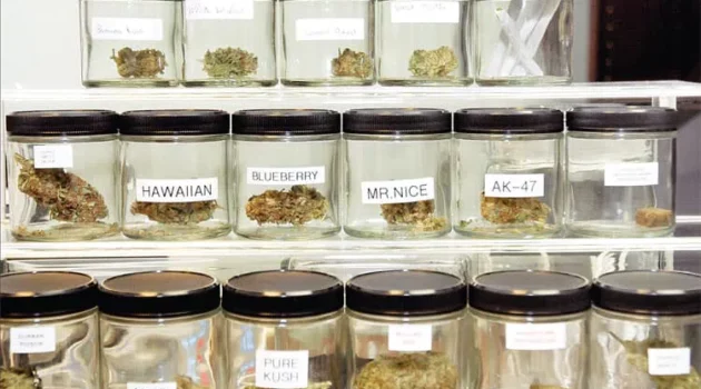 Boulder charts course for cannabis hospitality