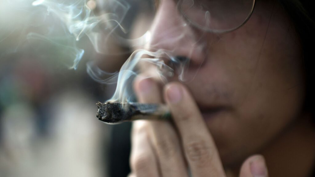 Smoking cannabis doesn’t carry same risks as tobacco, UCLA study finds