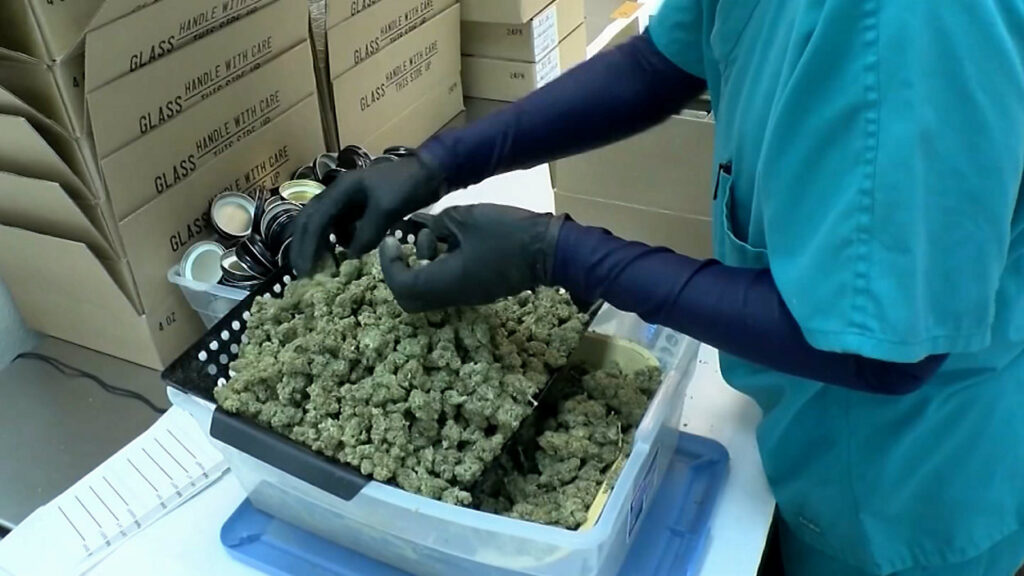 Medicinal cannabis industry says more work needed to address illegal sales