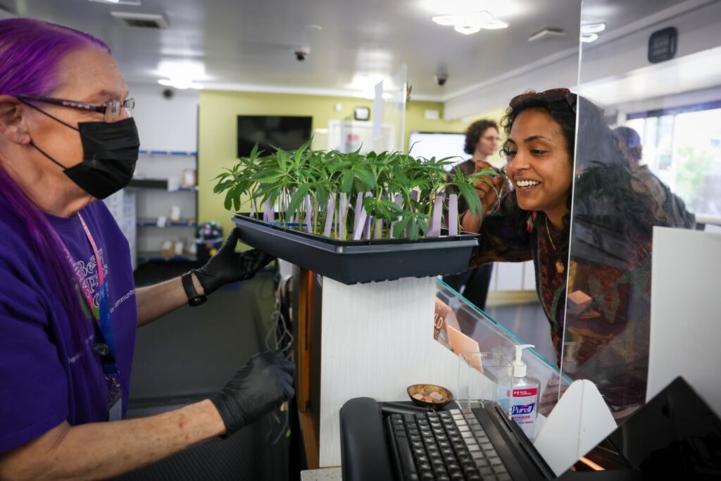 Chronic financial woes for cannabis dispensaries have led Berkeley to consider a tax holiday