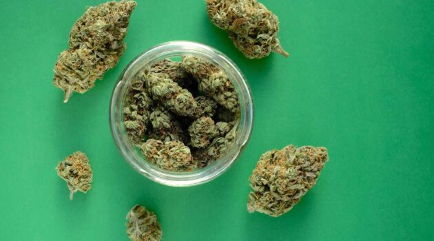 New York Regulators Will Launch Cannabis Farmers Markets ‘Within A Month’