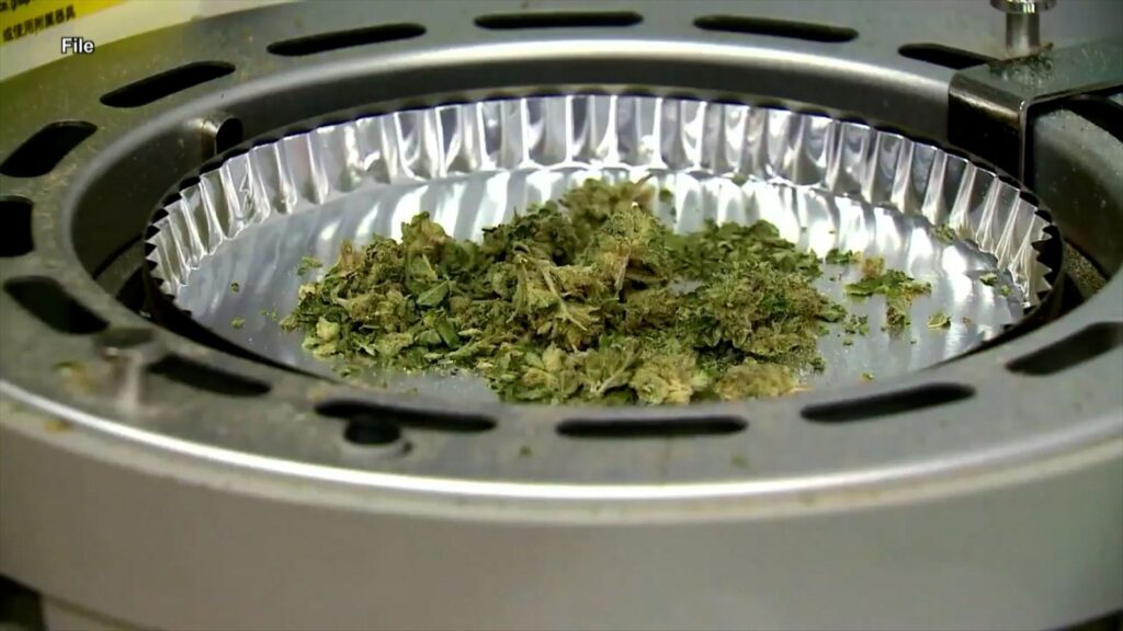 Will recreational marijuana use be legalized in Florida?