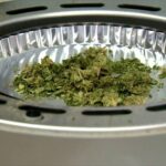 Will recreational marijuana use be legalized in Florida?