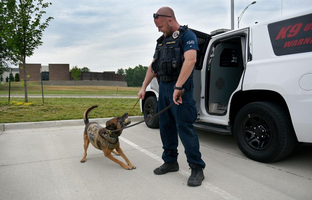 Marijuana legalization puts drug-sniffing police dogs out of work in Missouri