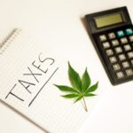 Questions surround medical cannabis scoring: No. 1 reportedly owed $150 million to IRS